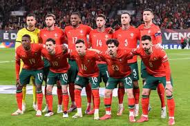 2026世界杯意义：展望爱尔兰足球未来-星空体育