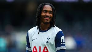 热刺战术与球员契合度：专家评析-星空体育