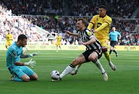 足球作为情感纽带的深度解读-星空体育