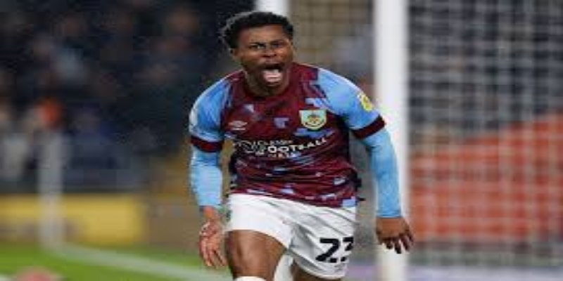  专家观点与未来展望  -  星空体育