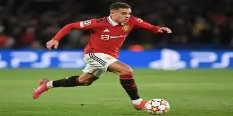 事件时间线梳理：从天才新星到舆论焦点- 星空体育