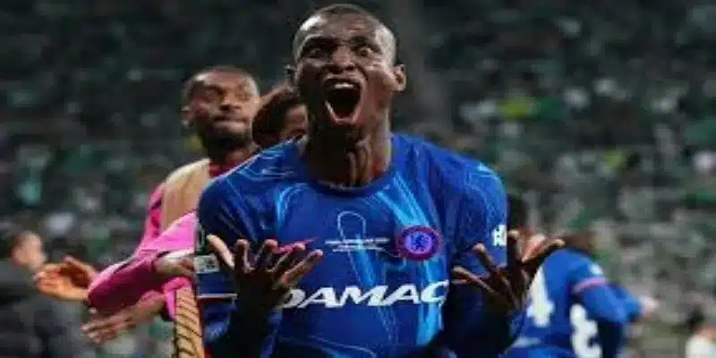 尼古拉斯·杰克逊的切尔西未来 -星空体育