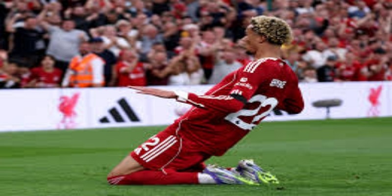 战术风格与主场优势—星空体育全景解析 -星空体育