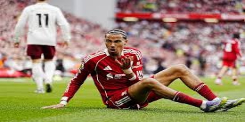 技术特点与位置灵活性  -  星空体育