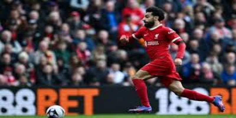  未来展望与发展潜力  -  星空体育