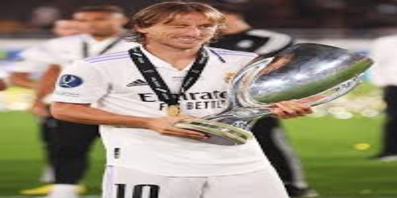 未来展望：成长空间与无限可能  - 星空体育