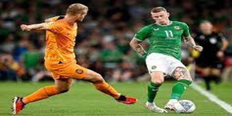 赛前总结与预测：全面布防不可忽视 -- 星空体育