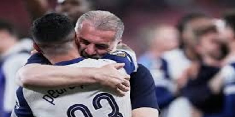 从蜜蜂军团到热刺：一场关于耐心的豪赌 —星空体育