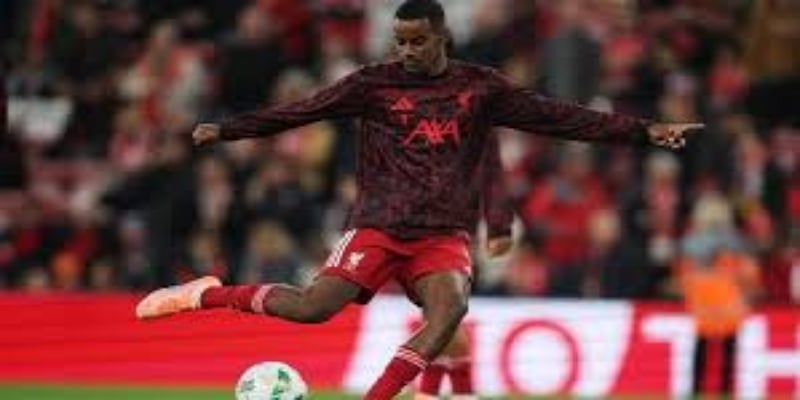 数据解码：老将价值的再塑  -星空体育