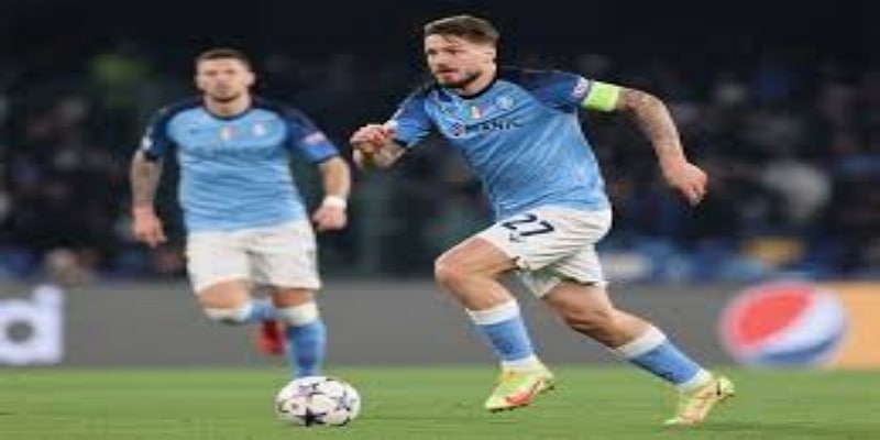 平衡哲学：波特的核心理念与实战应用-  星空体育