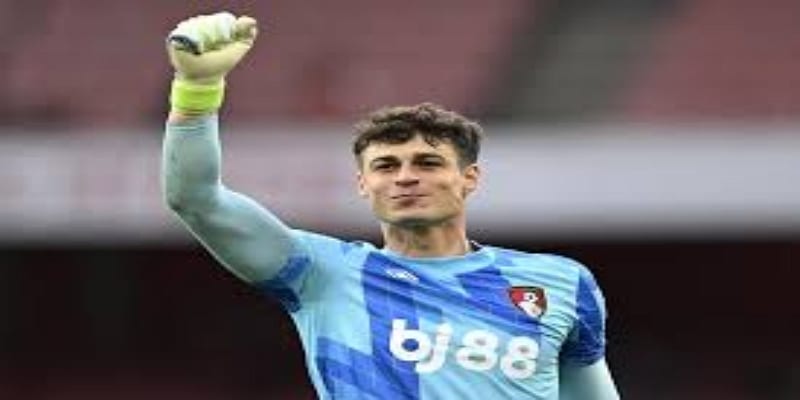 技术特点与体系适配性-星空体育