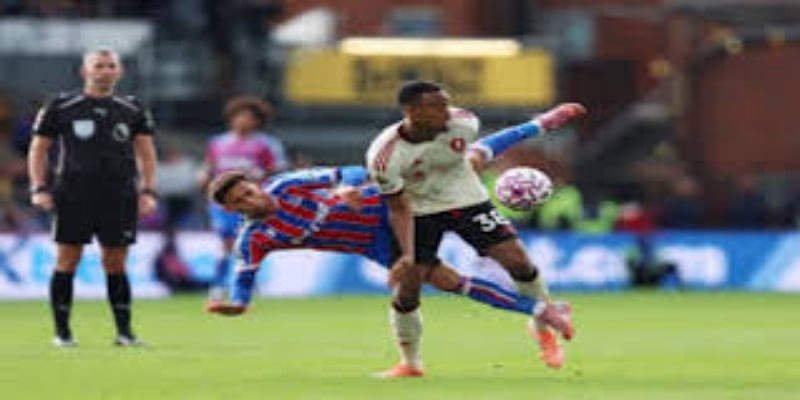 新赛季前景与挑战-星空体育