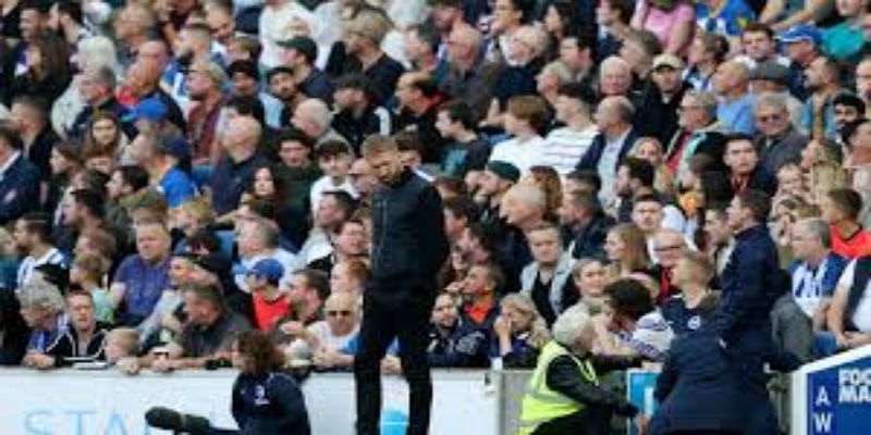 米歇尔·哈内斯的“临危受命”-星空体育