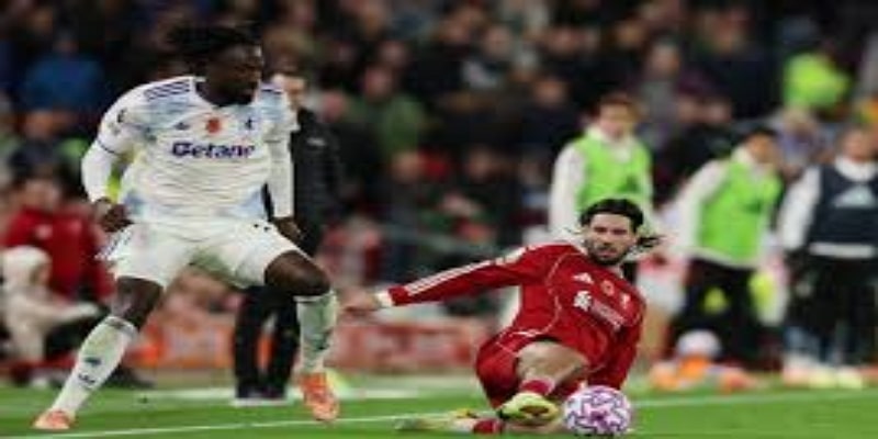 精彩进球回顾 - 星空体育