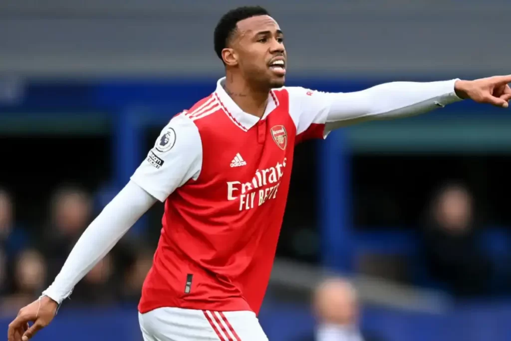 加布里埃尔·马加莱斯