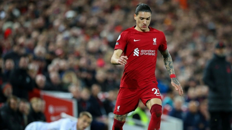 努涅斯的国家队经验