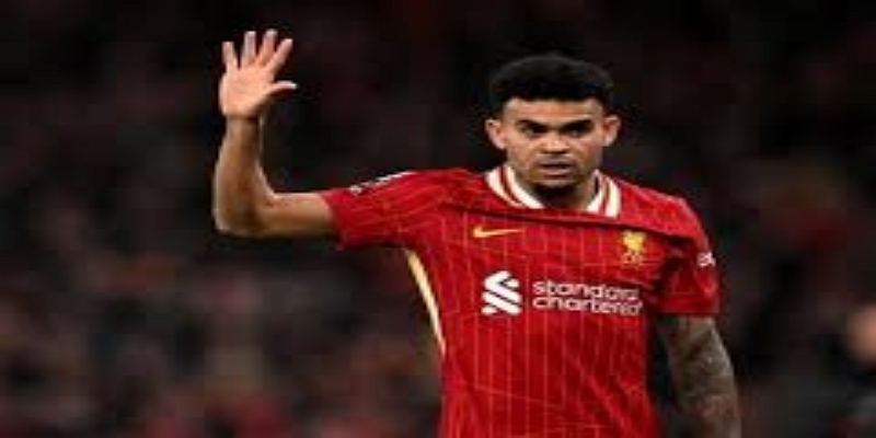 星空体育深度观察：从英格兰青训精英到国际流浪者的成长路径-星空体育