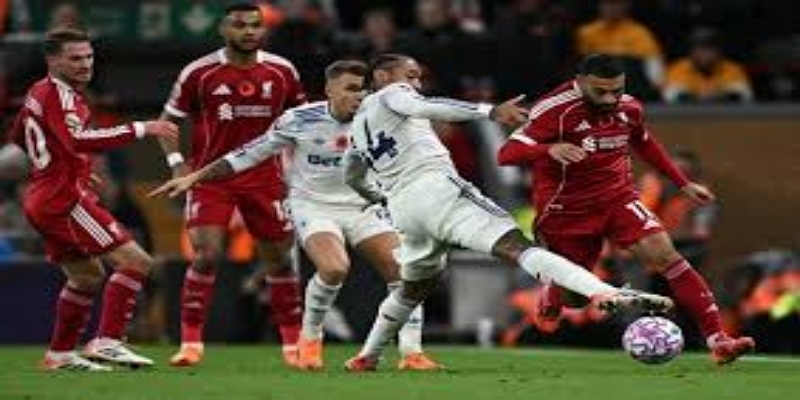 洛默尔SK或成比利时足坛新变量- 星空体育