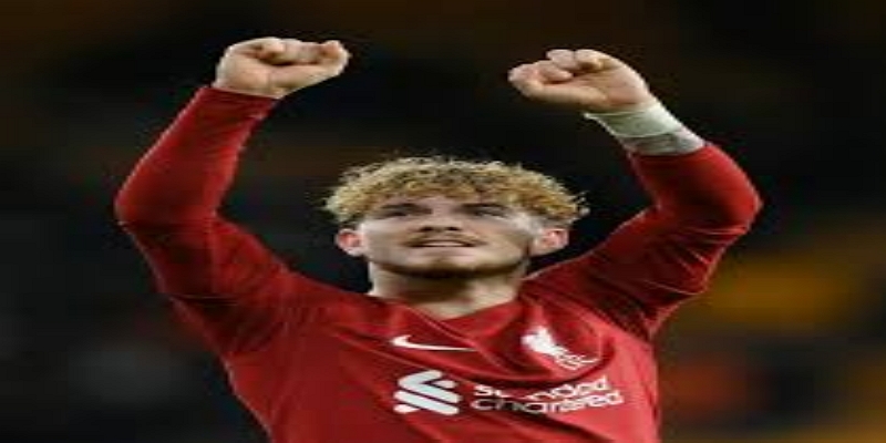 俱乐部构建的包容生态-星空体育