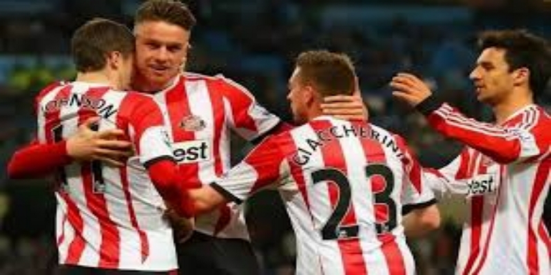 星空体育视角：黑猫军团保级困境-星空体育